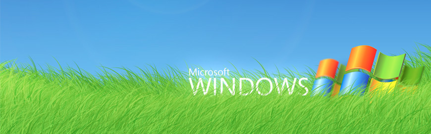Software Microsoft Windows